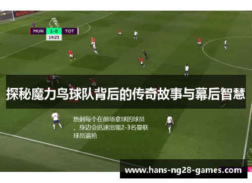 探秘魔力鸟球队背后的传奇故事与幕后智慧